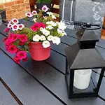 Apartman Goldstr.7 Quedlinburg