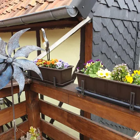 公寓 Goldstr.7 奎德林堡