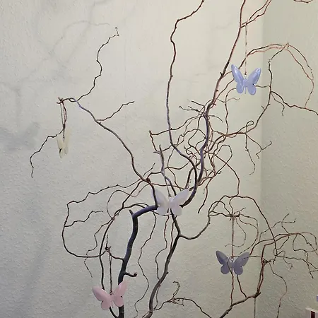 Goldstr.7 Appartement *