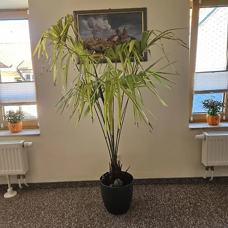 Apartment Goldstr.7 *
