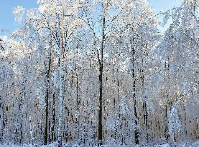 Goldstr.7 Apartman Quedlinburg