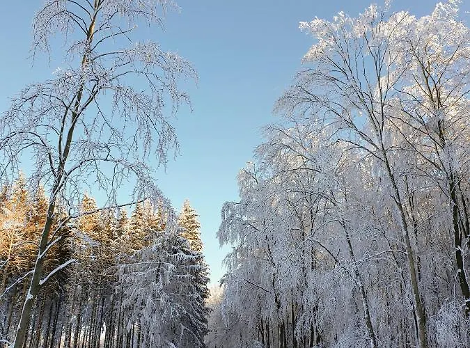 Goldstr.7 Apartman Quedlinburg