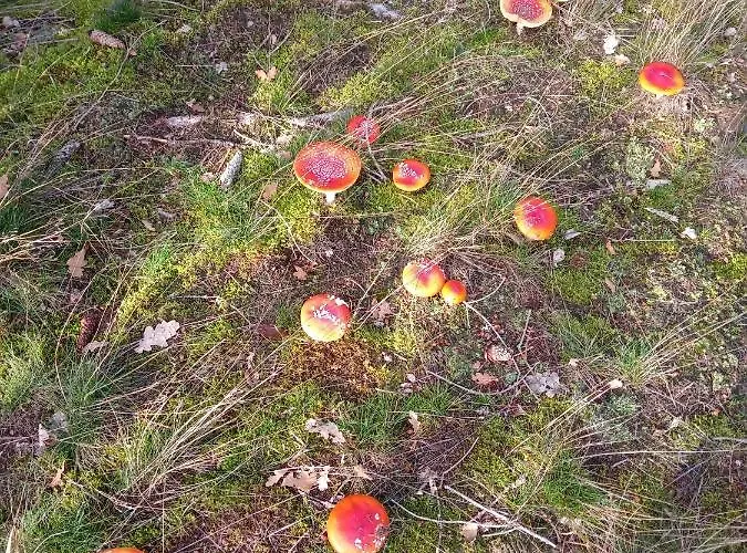 Appartement Goldstr.7