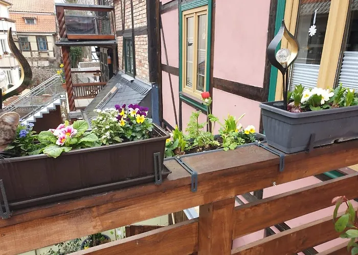 Goldstr.7 奎德林堡