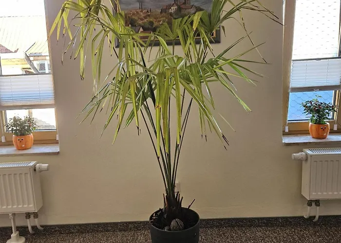 Apartman Goldstr.7 *